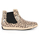 cheetah/black londoner